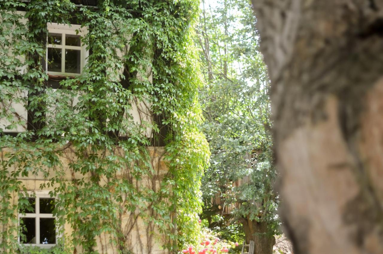 Naturferienwohnung Schopstal Kunnersdorf Buitenkant foto
