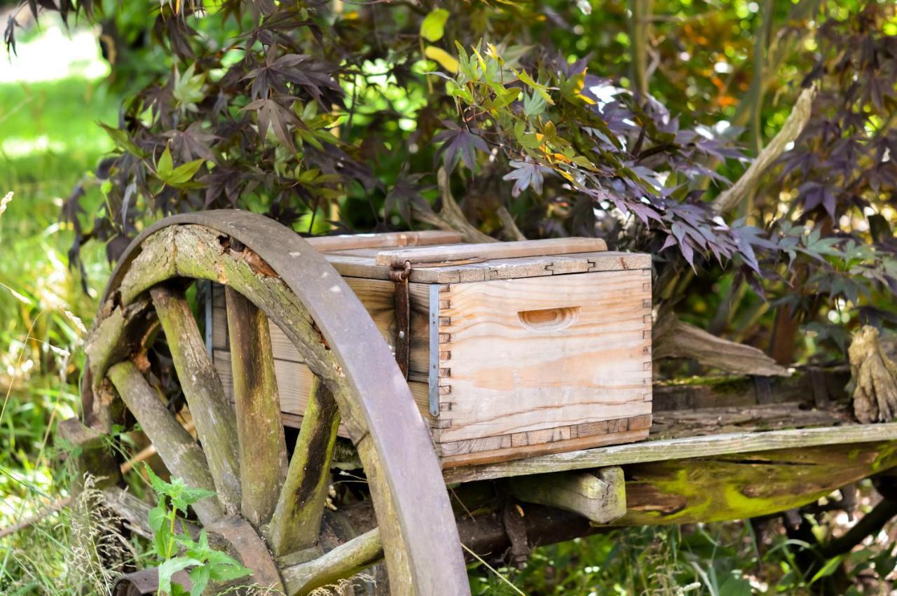 Naturferienwohnung Schopstal Kunnersdorf Buitenkant foto
