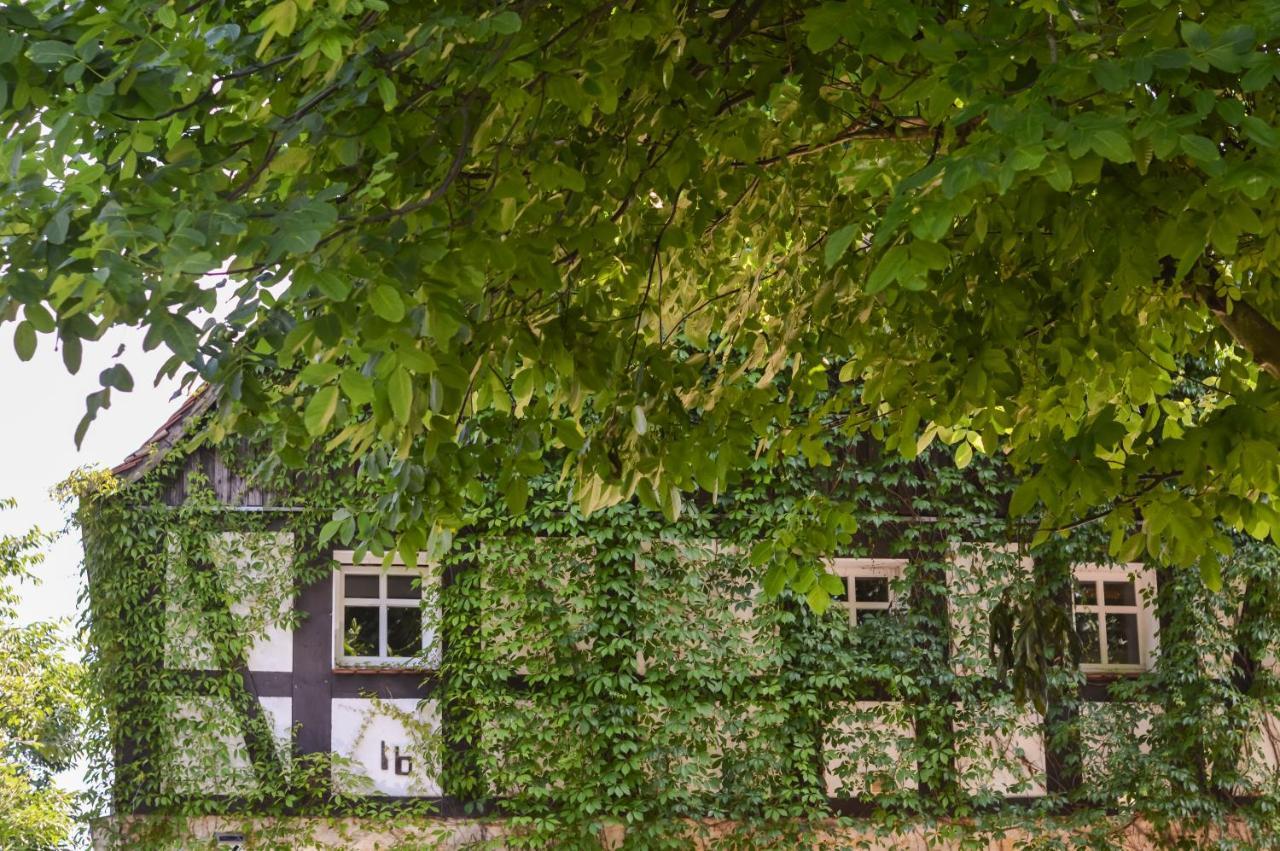 Naturferienwohnung Schopstal Kunnersdorf Buitenkant foto